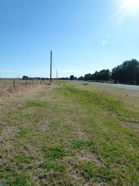 Lot 4 Calarie Road, FORBES NSW 2871, Forbes - Thumbnail 2