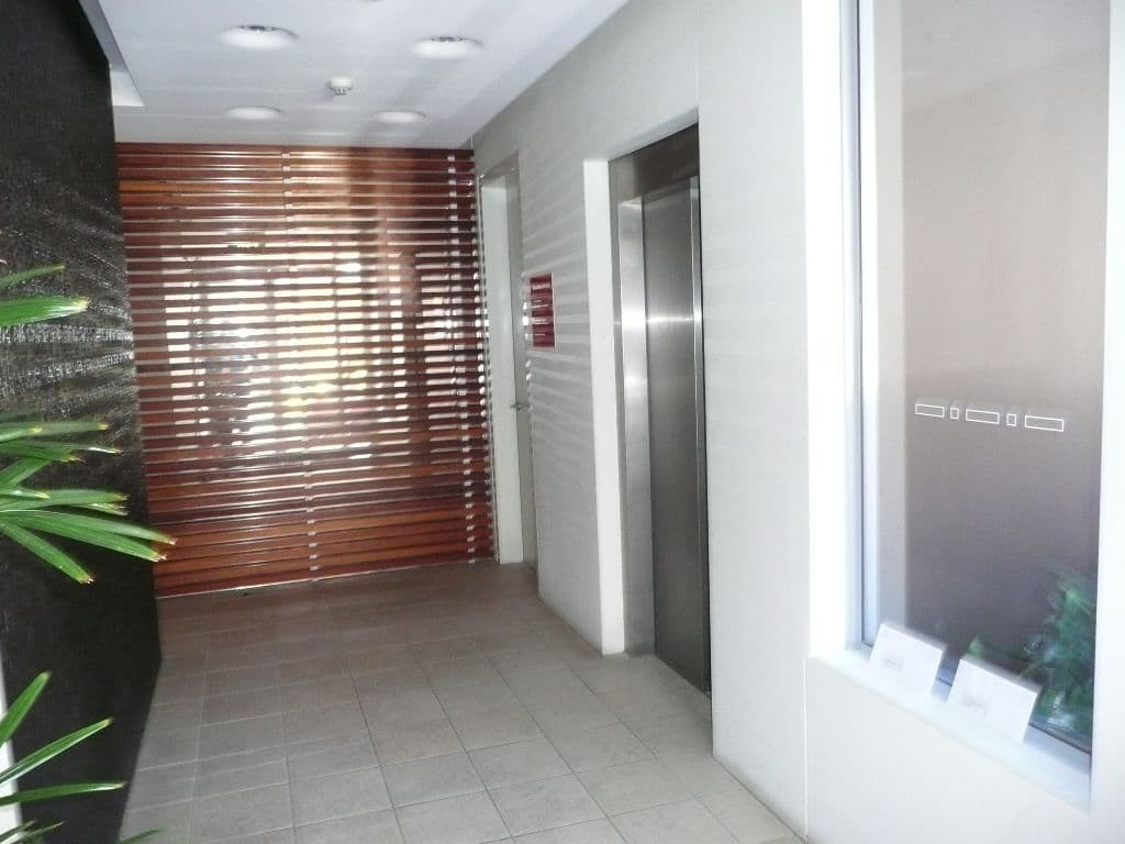 84 Wentworth Park Road, GLEBE NSW 2037, Glebe - Thumbnail 8