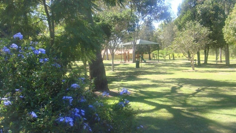 19 Honeybrook Street, RUNCORN QLD 4113, Runcorn - Thumbnail 2