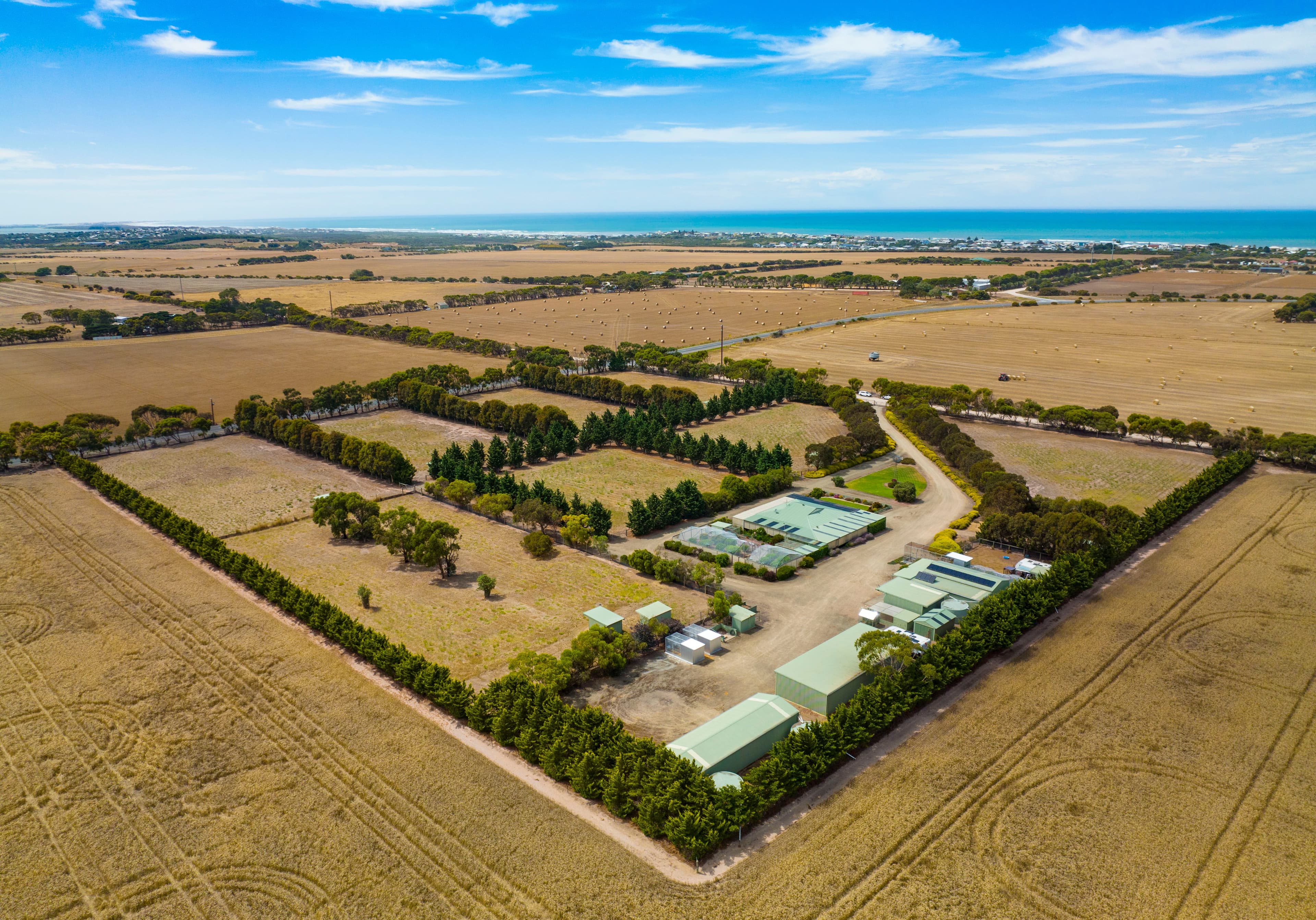 14 Michelmore Road, Middleton SA 5213, Middleton - Thumbnail 5
