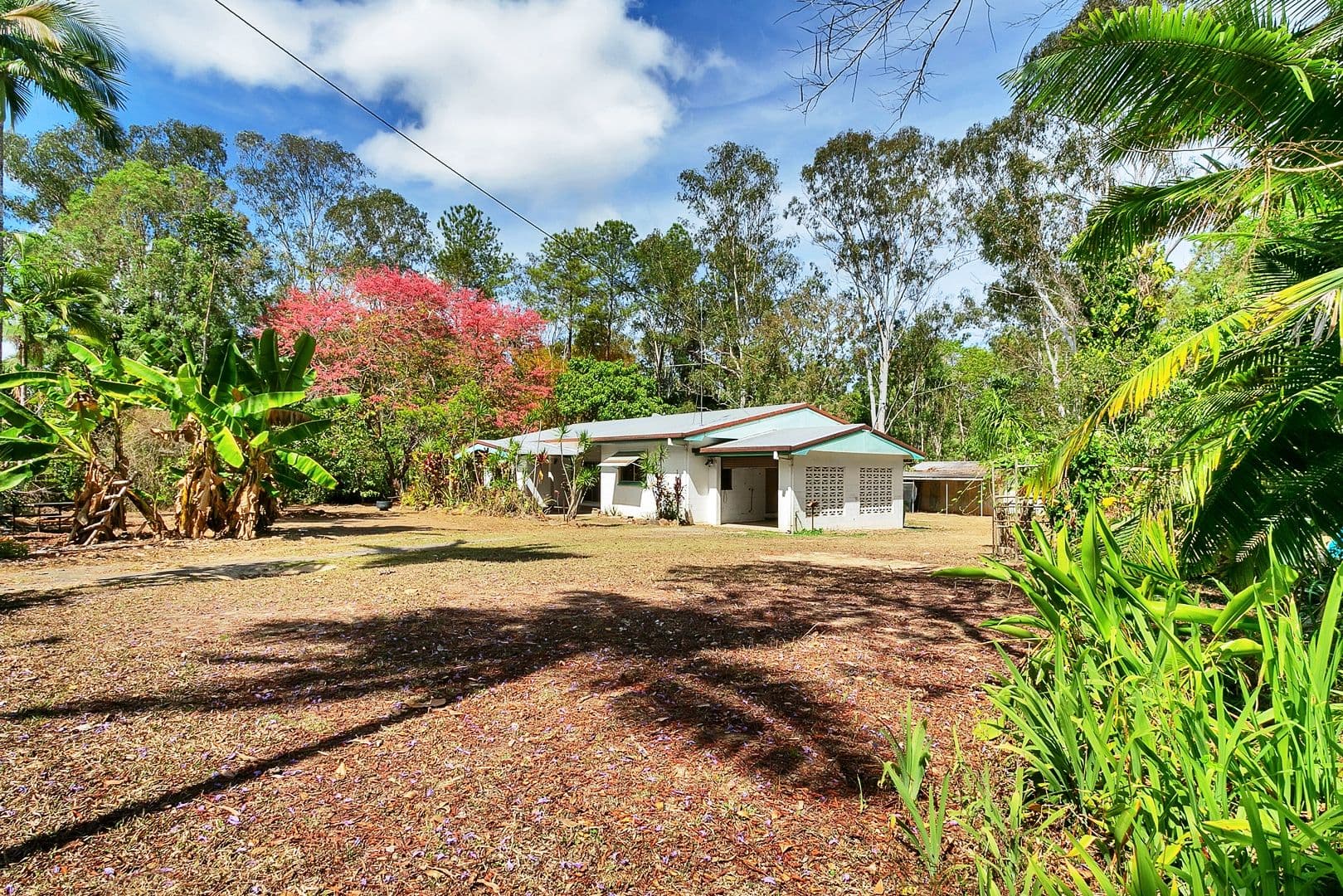 43 Veivers Drive, Speewah QLD 4881, Speewah - Image 1