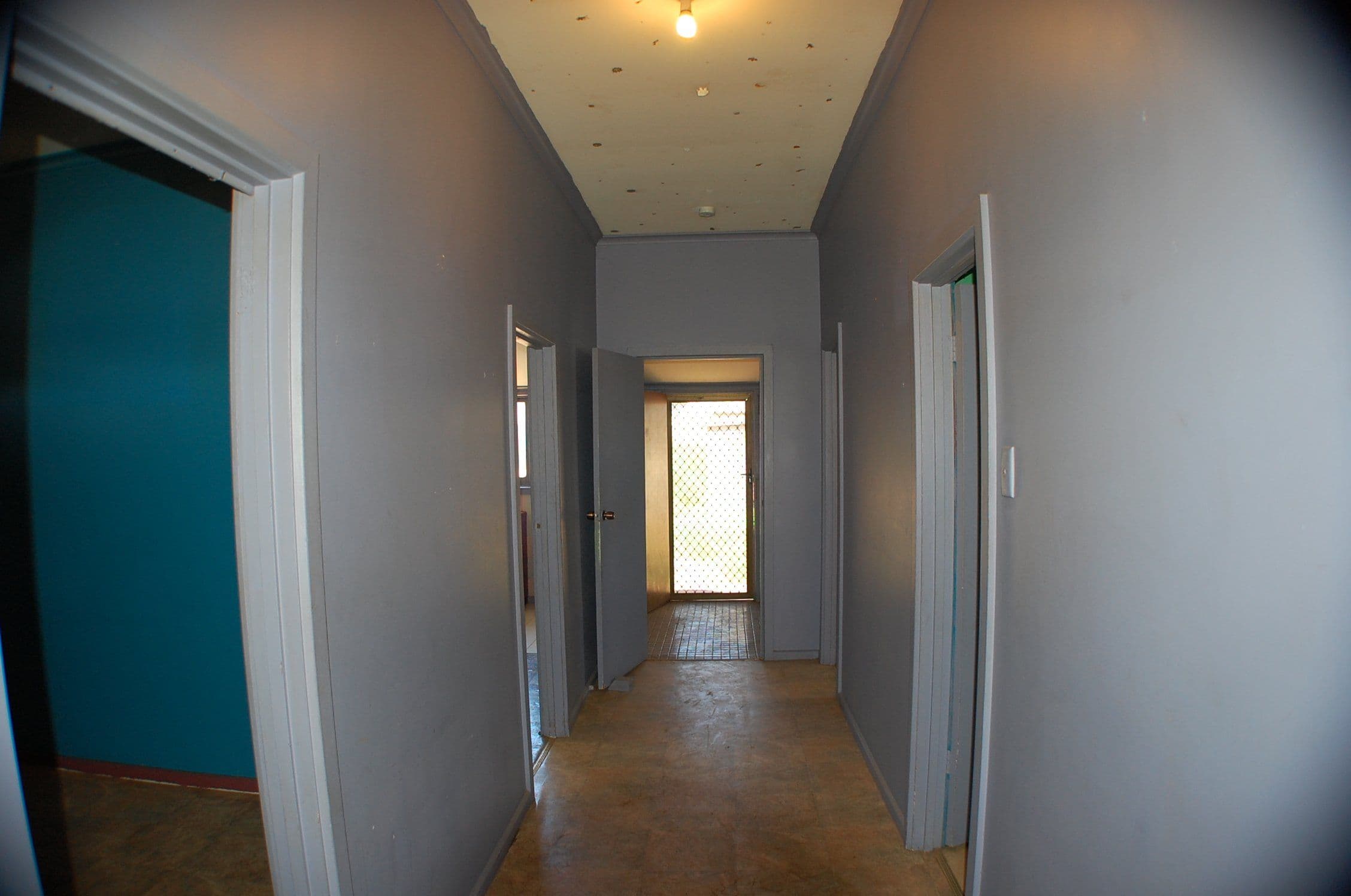 3 Totara Street, Riverside, Riverside - Thumbnail 4