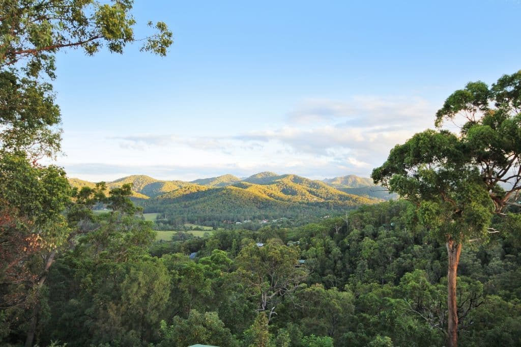 140 Strawberry Road, MUDGEERABA QLD 4213, Mudgeeraba - Thumbnail 5