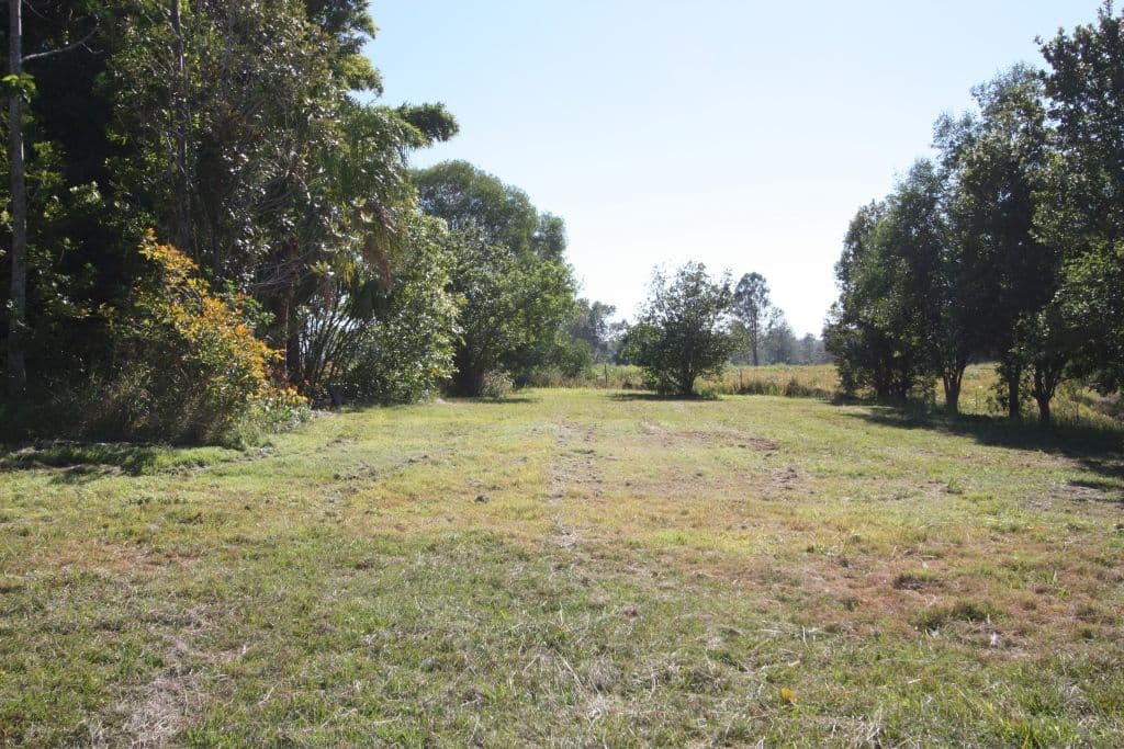 25 Palmer Court, THE DAWN QLD 4570, The Dawn - Thumbnail 2