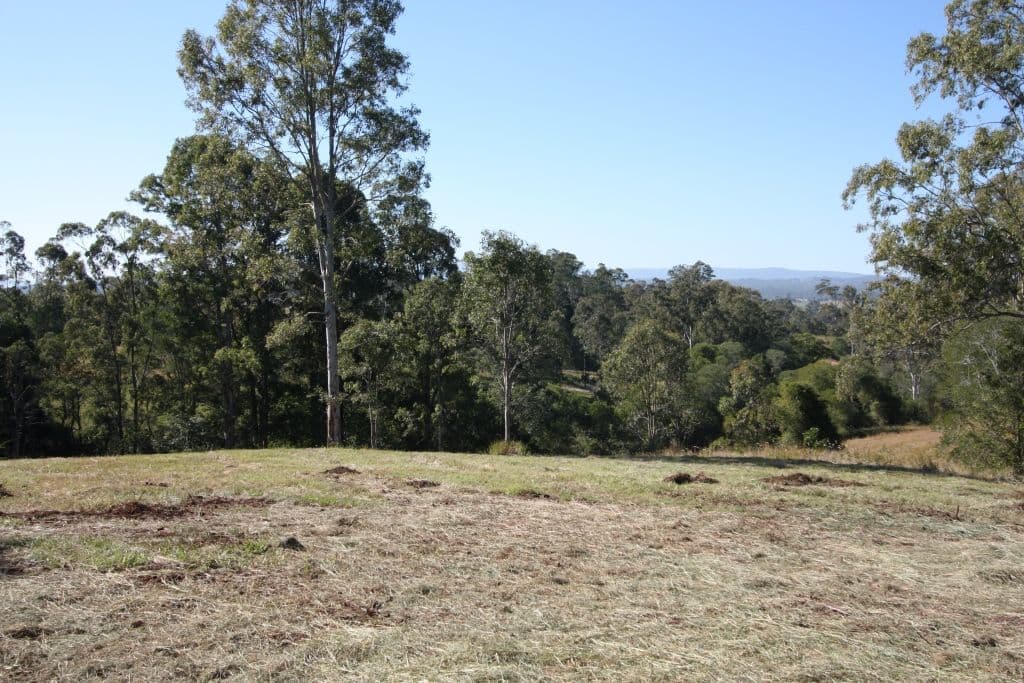 25 Palmer Court, THE DAWN QLD 4570, The Dawn - Thumbnail 3