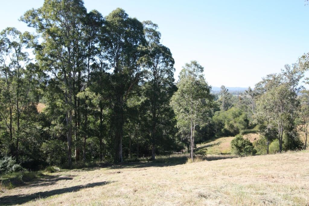 25 Palmer Court, THE DAWN QLD 4570, The Dawn - Thumbnail 4