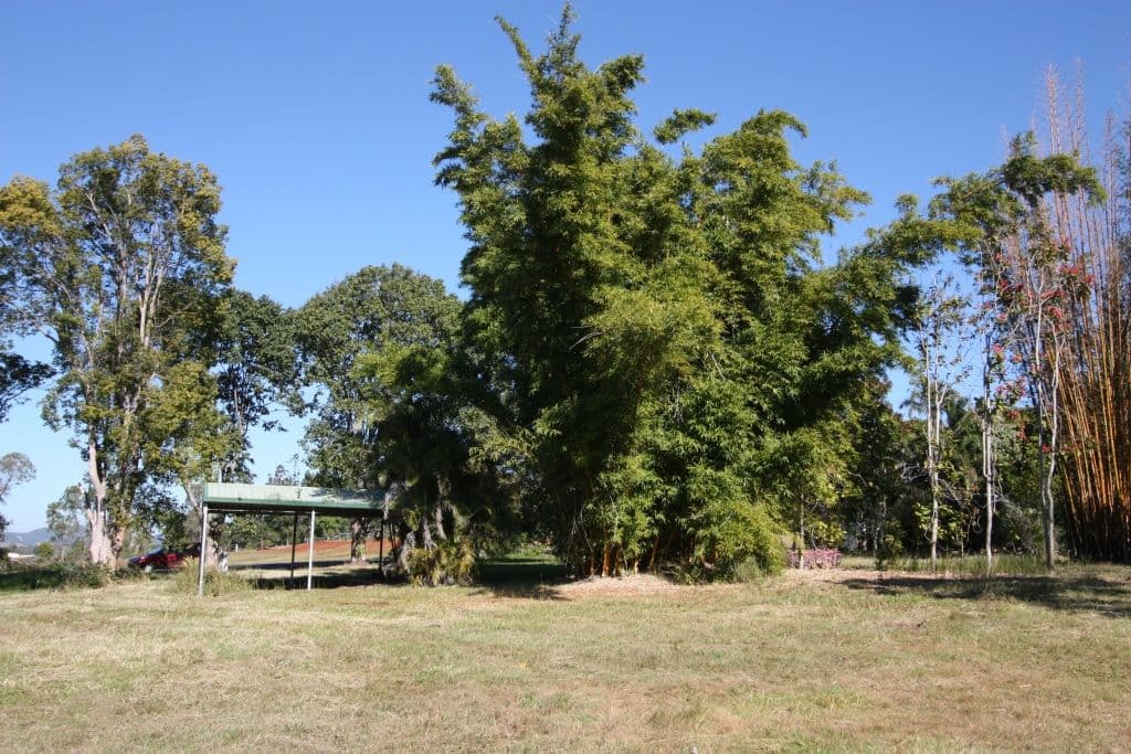 25 Palmer Court, THE DAWN QLD 4570, The Dawn - Thumbnail 5