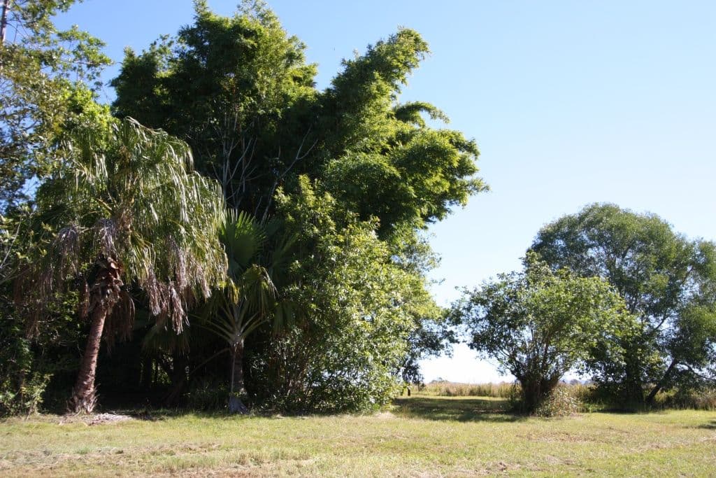 25 Palmer Court, THE DAWN QLD 4570, The Dawn - Thumbnail 6