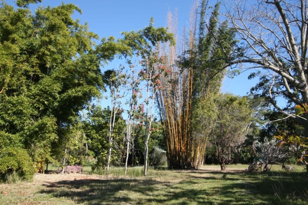 25 Palmer Court, THE DAWN QLD 4570, The Dawn - Thumbnail 7