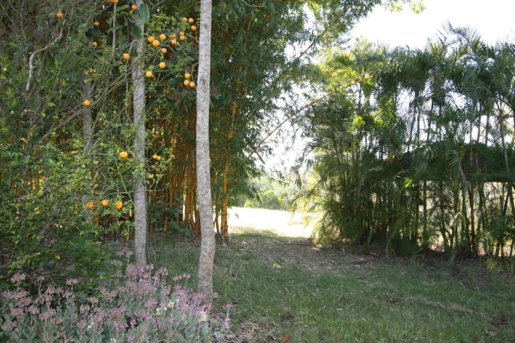 25 Palmer Court, THE DAWN QLD 4570, The Dawn - Thumbnail 8