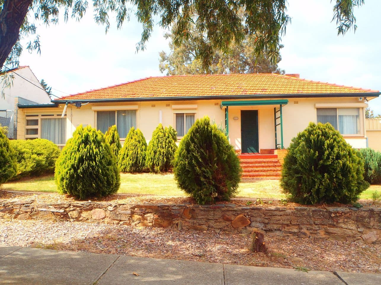 59 Darlington Street, Enfield SA 5085, Enfield - Image 1