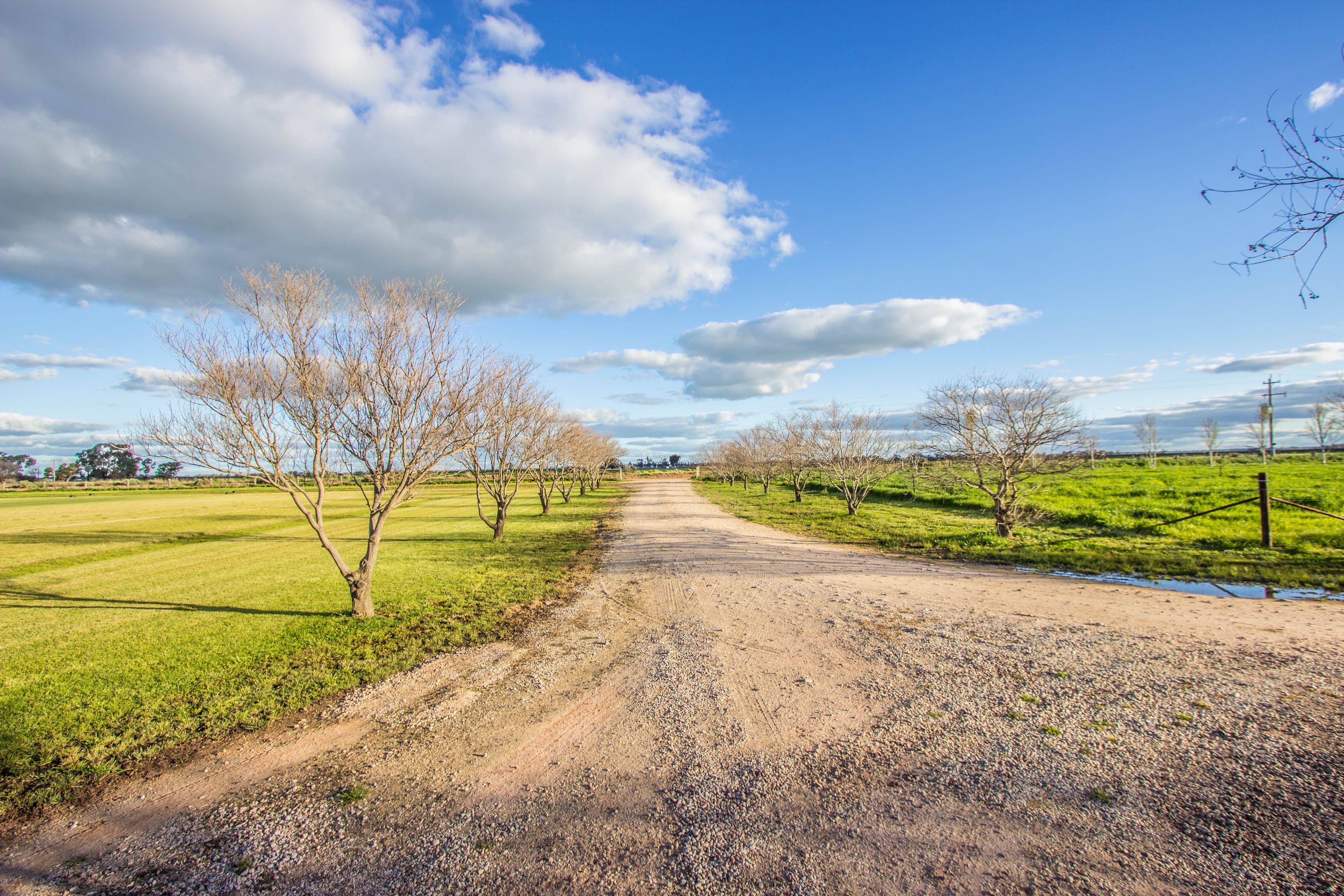 Farm 283B Toorak Road, Leeton NSW 2705, Leeton - Thumbnail 2