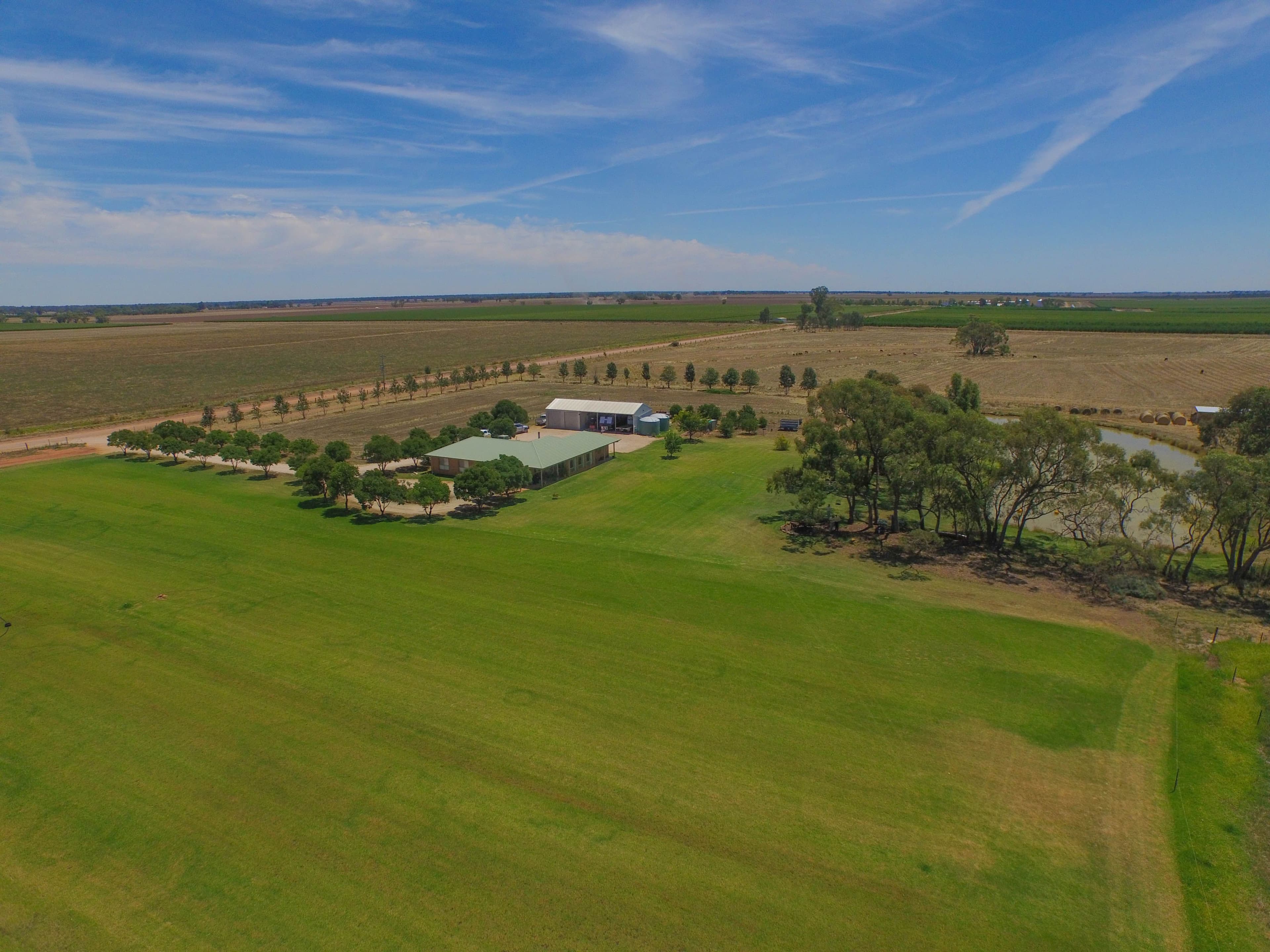Farm 283B Toorak Road, Leeton NSW 2705, Leeton - Thumbnail 3