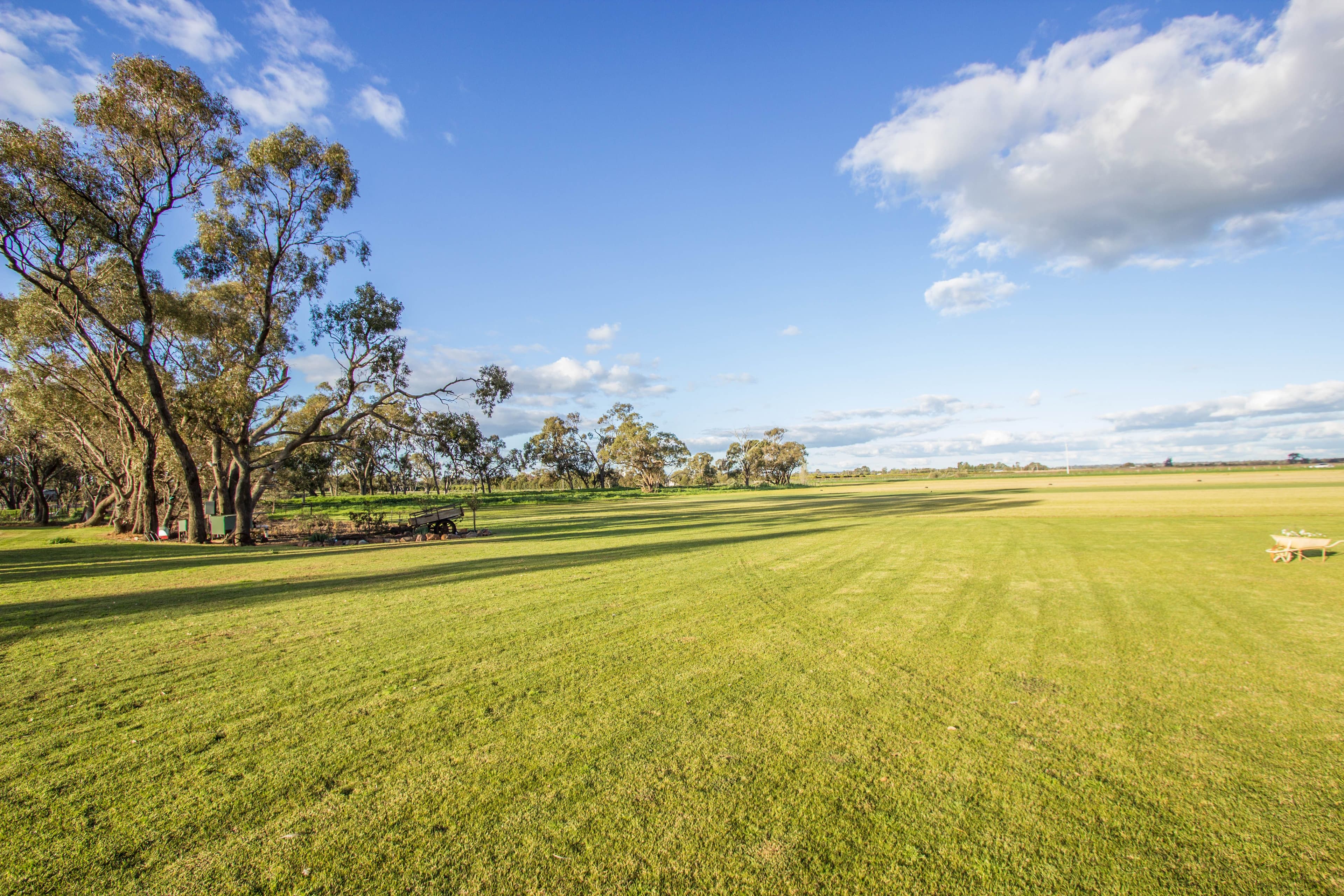 Farm 283B Toorak Road, Leeton NSW 2705, Leeton - Thumbnail 5