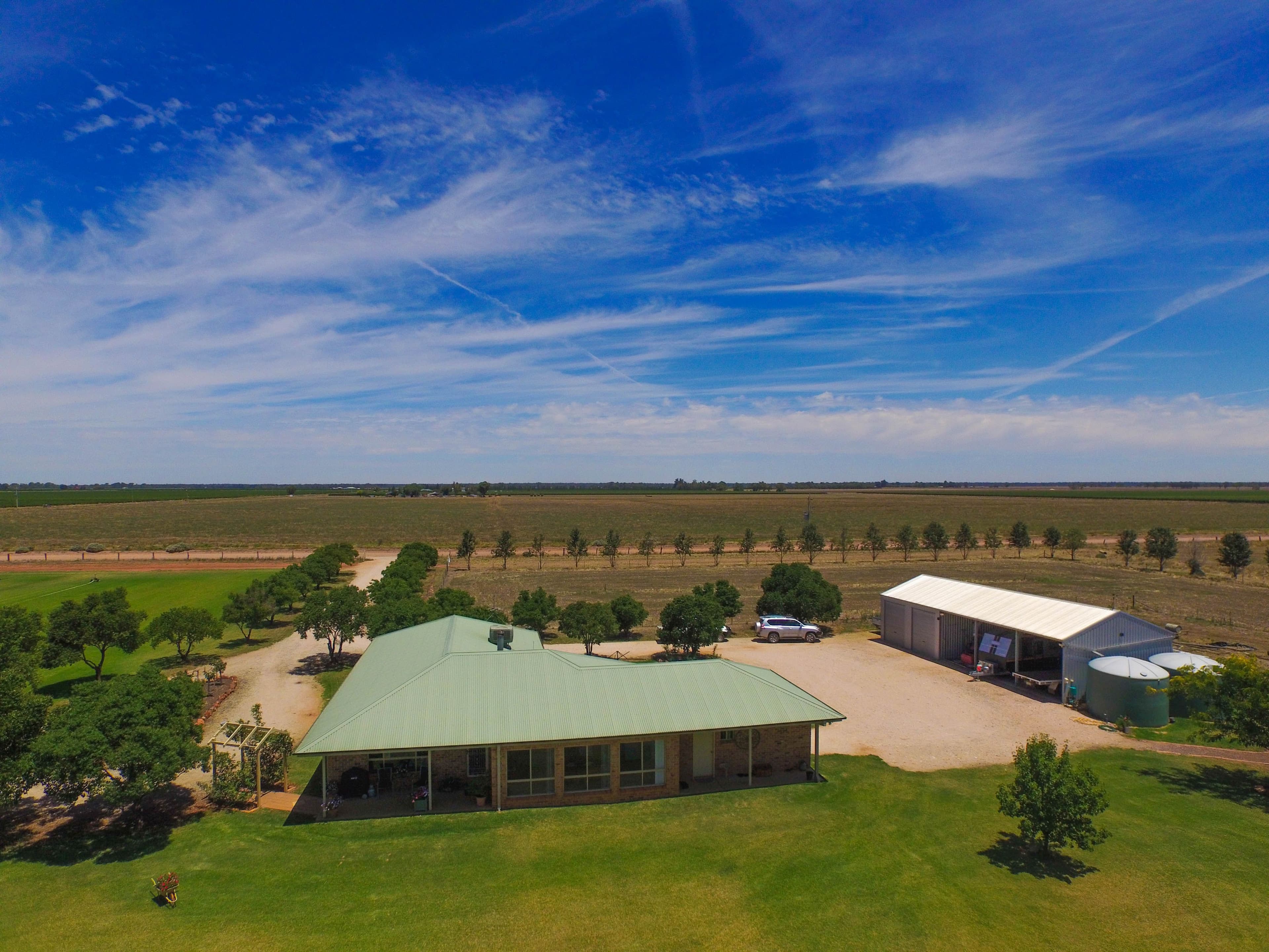 Farm 283B Toorak Road, Leeton NSW 2705, Leeton - Thumbnail 6
