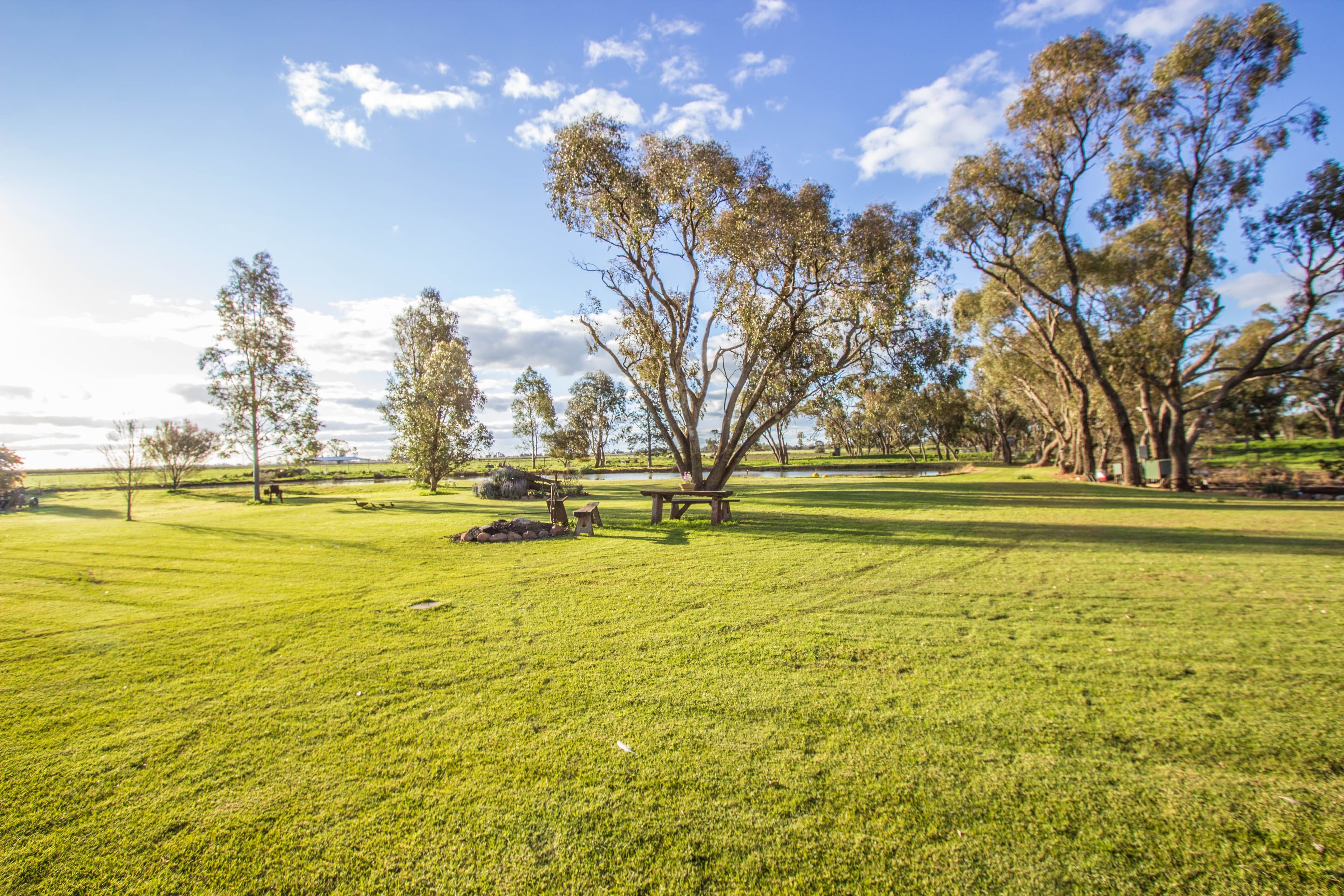 Farm 283B Toorak Road, Leeton NSW 2705, Leeton - Thumbnail 7