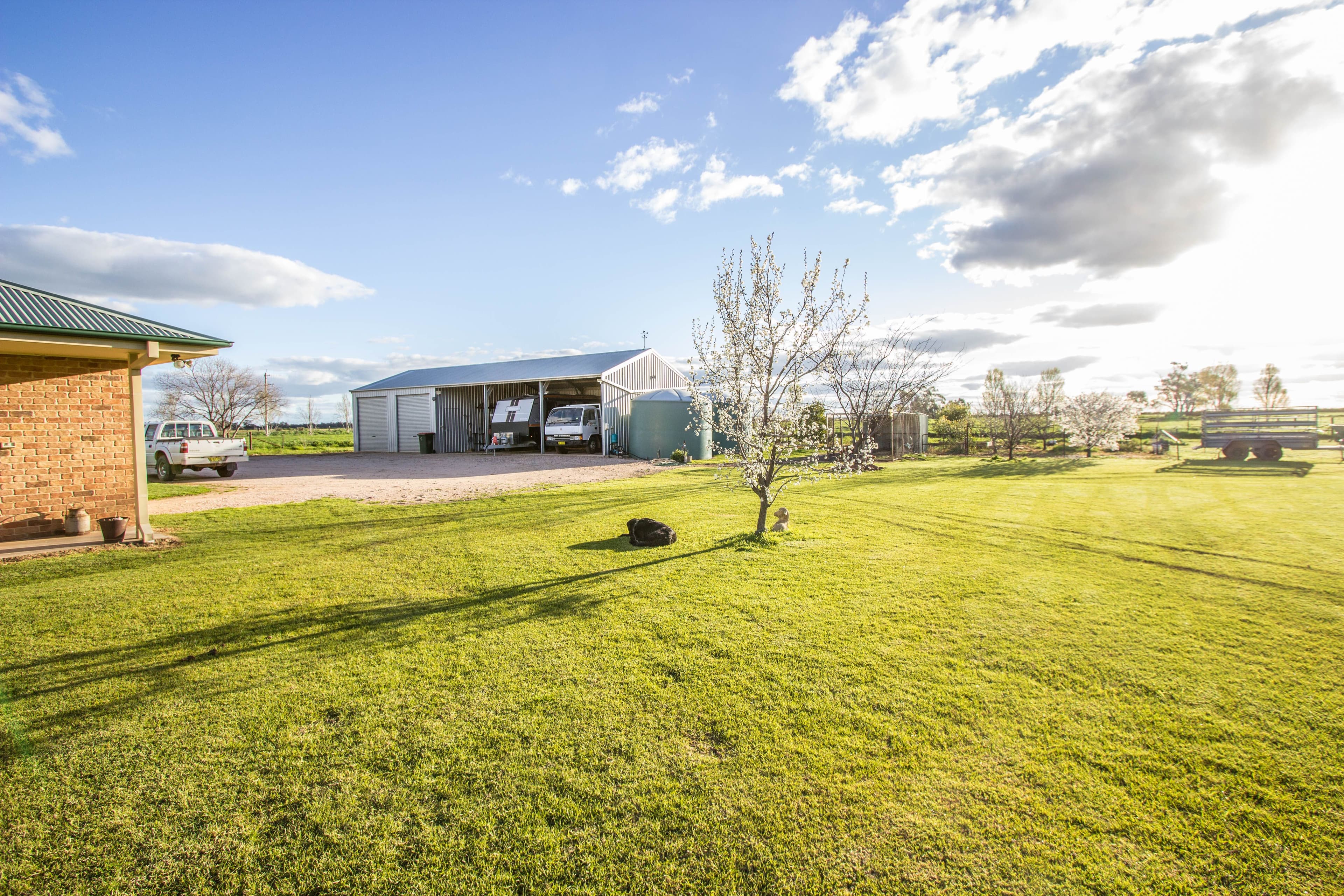 Farm 283B Toorak Road, Leeton NSW 2705, Leeton - Thumbnail 8