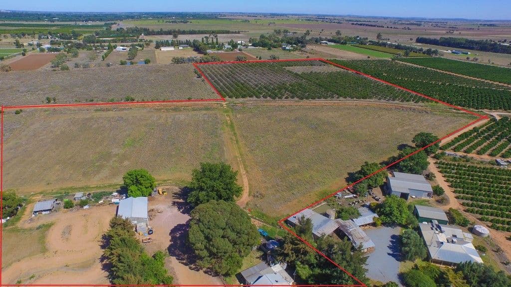 138 Cassia Road, Leeton - Thumbnail 3
