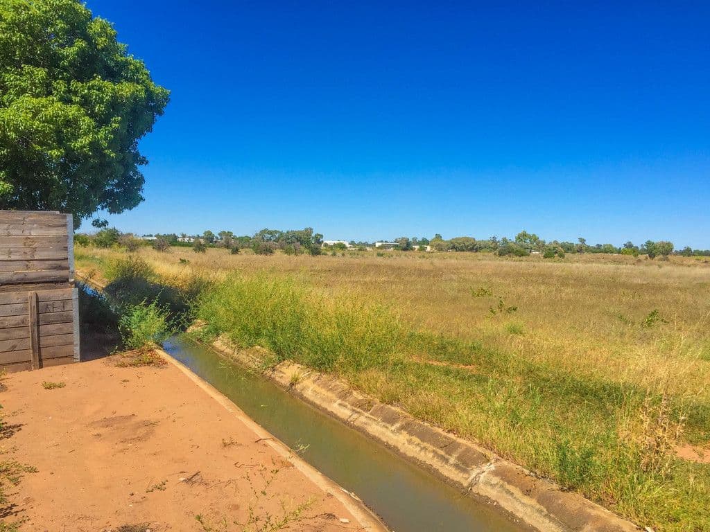 138 Cassia Road, Leeton - Thumbnail 7