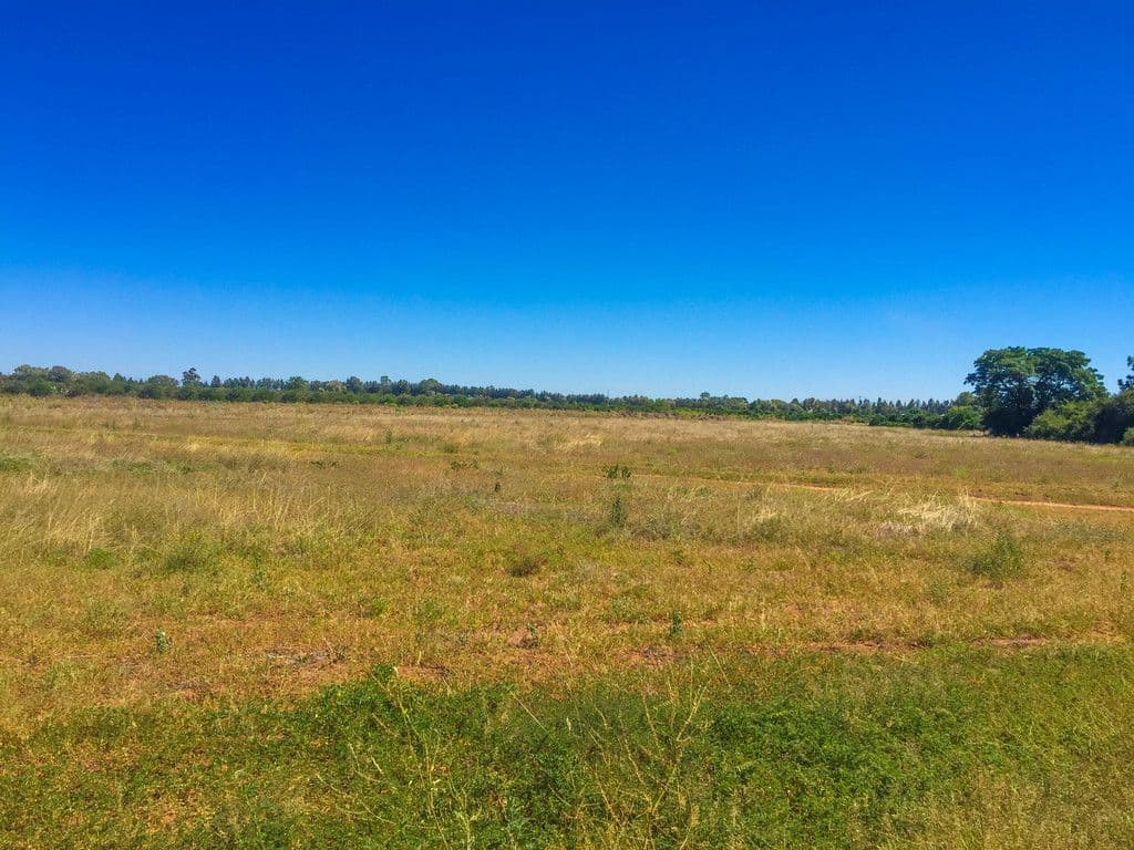 138 Cassia Road, Leeton - Thumbnail 8