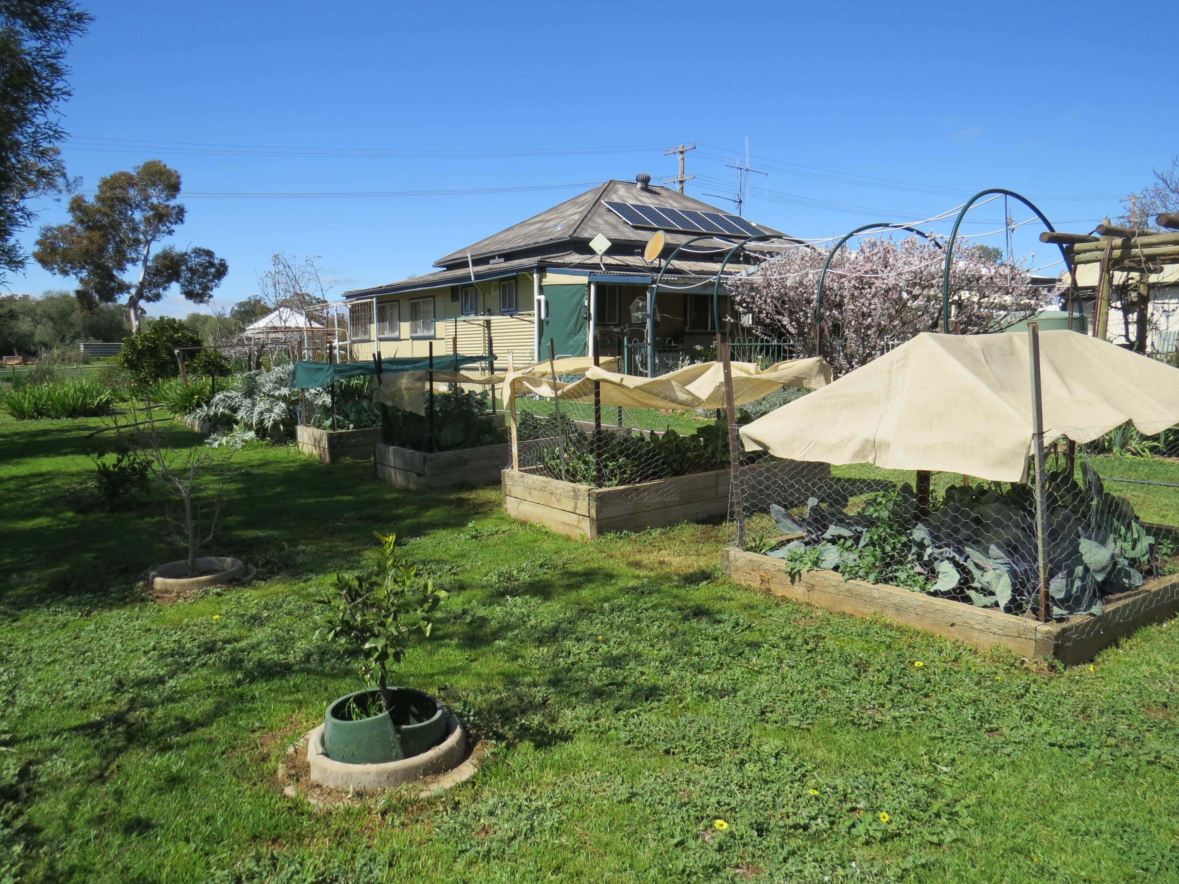 1 Loftus Street, Woodstock NSW 2793, Woodstock - Thumbnail 4
