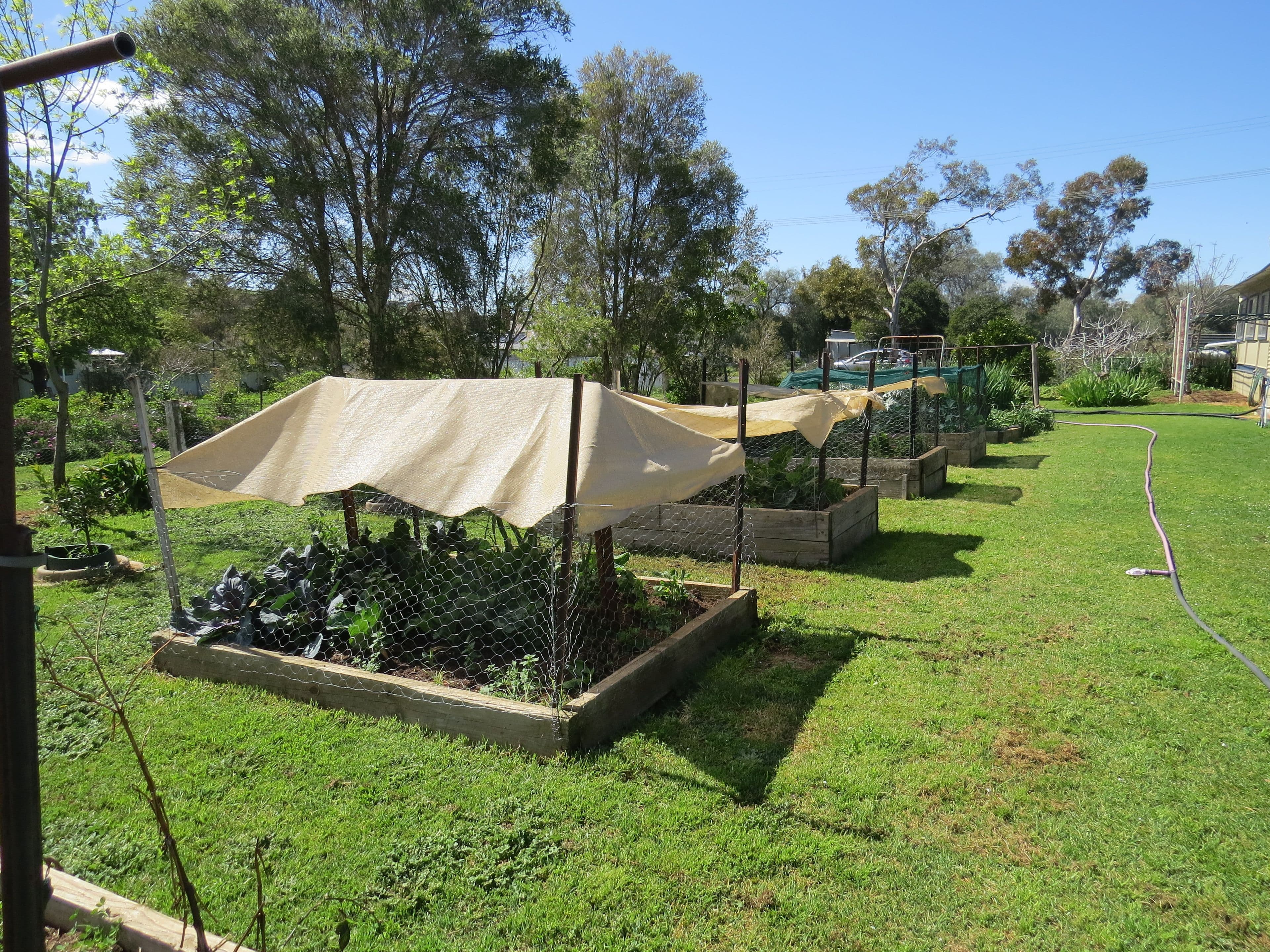 1 Loftus Street, Woodstock NSW 2793, Woodstock - Thumbnail 5