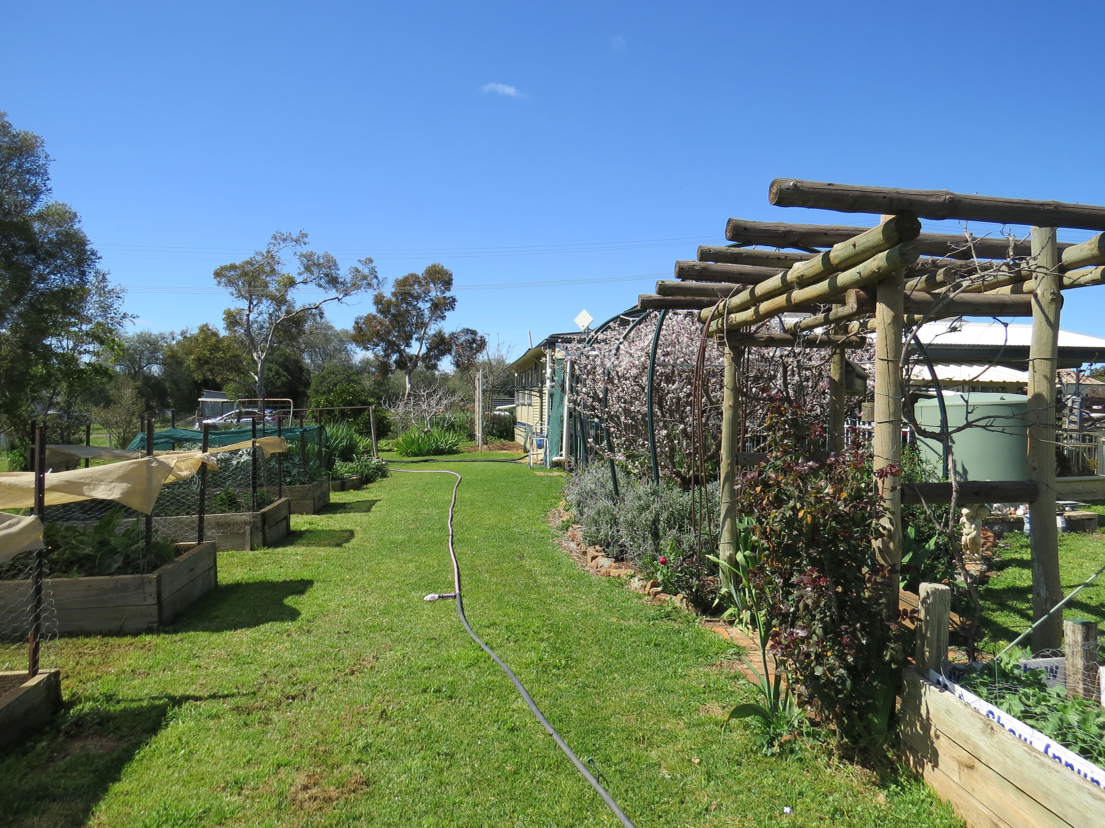 1 Loftus Street, Woodstock NSW 2793, Woodstock - Thumbnail 6