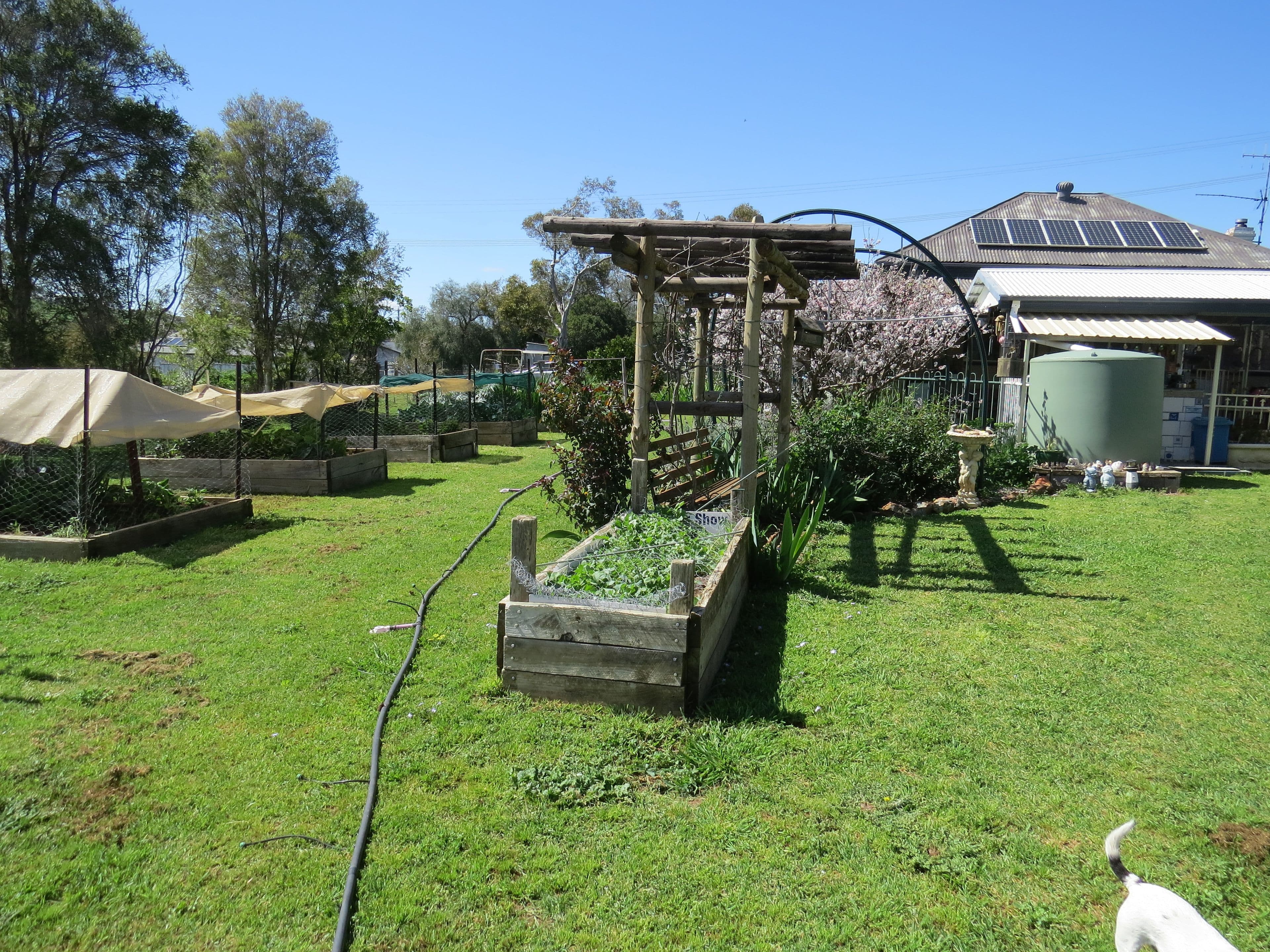 1 Loftus Street, Woodstock NSW 2793, Woodstock - Thumbnail 7