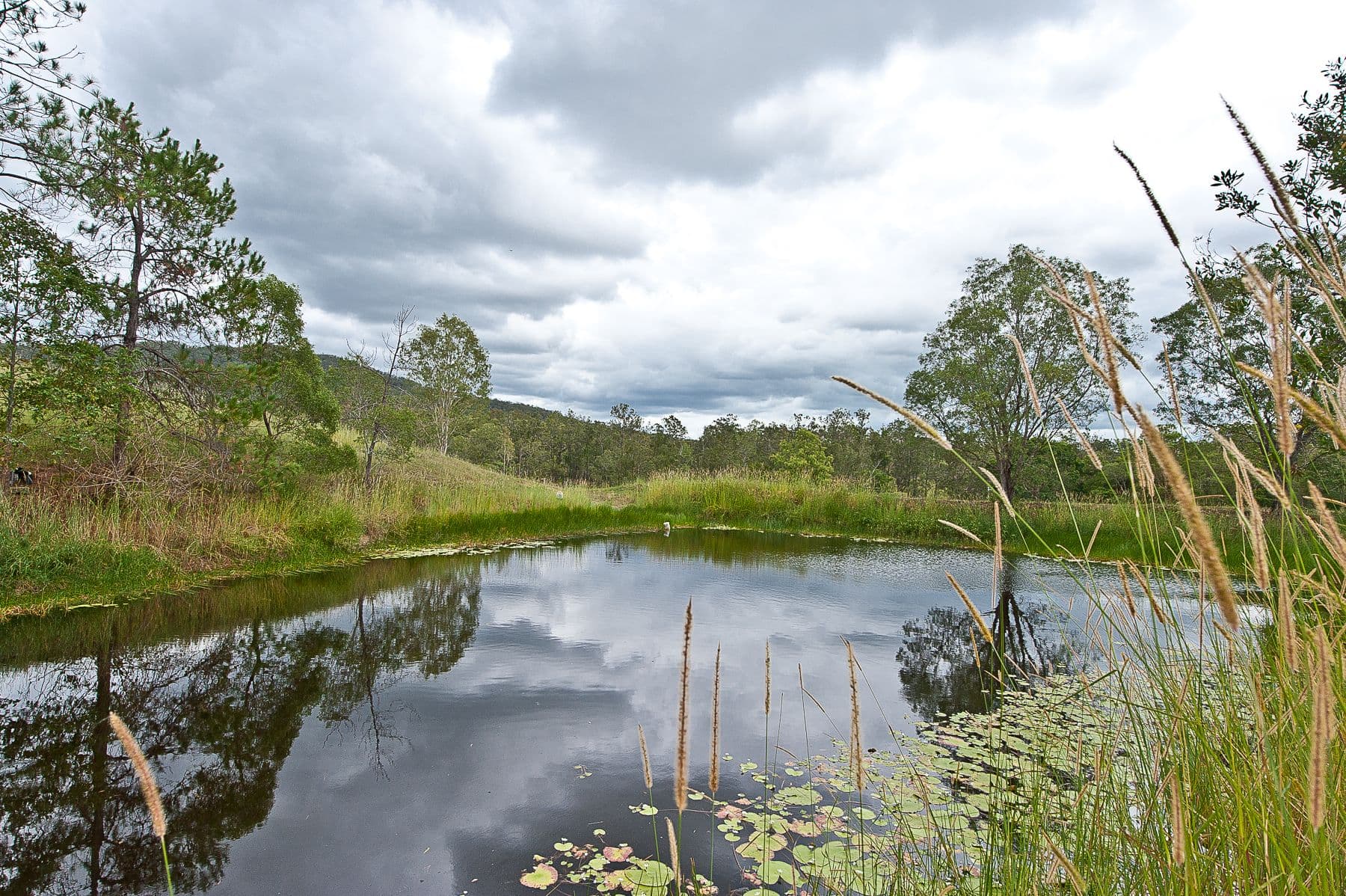 Kobble Creek QLD 4520, Kobble Creek - Thumbnail 5
