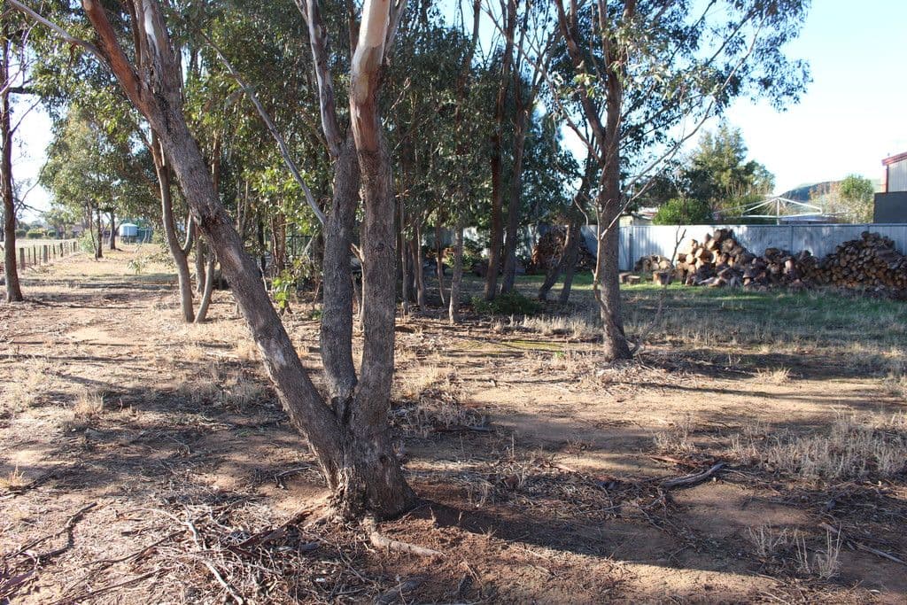 66 Dudley Street, Rochester VIC 3561, Rochester - Thumbnail 6