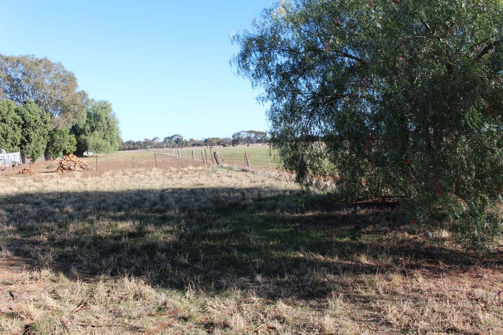 66 Dudley Street, Rochester VIC 3561, Rochester - Thumbnail 7