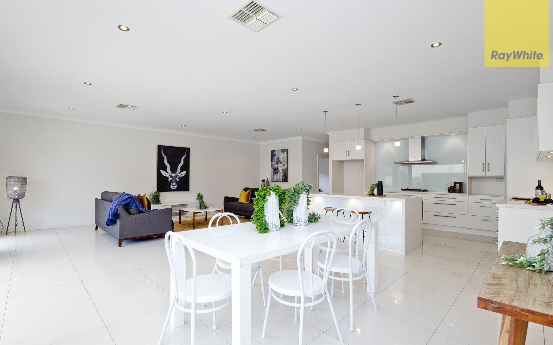 14 Grallina Street, Lockleys SA 5032, Lockleys - Thumbnail 6
