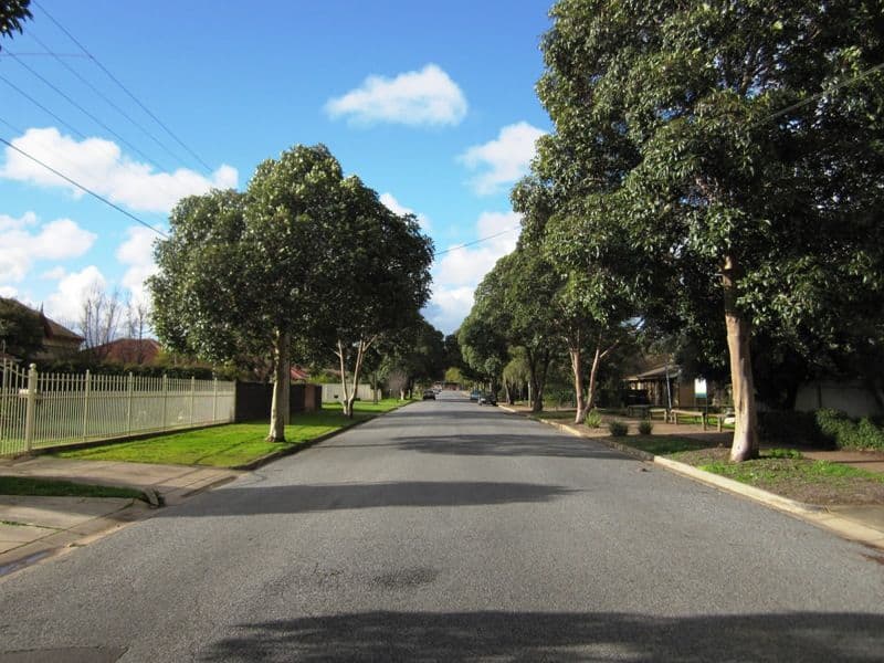 22 Leewood Road, PARADISE SA 5075, Paradise - Thumbnail 3