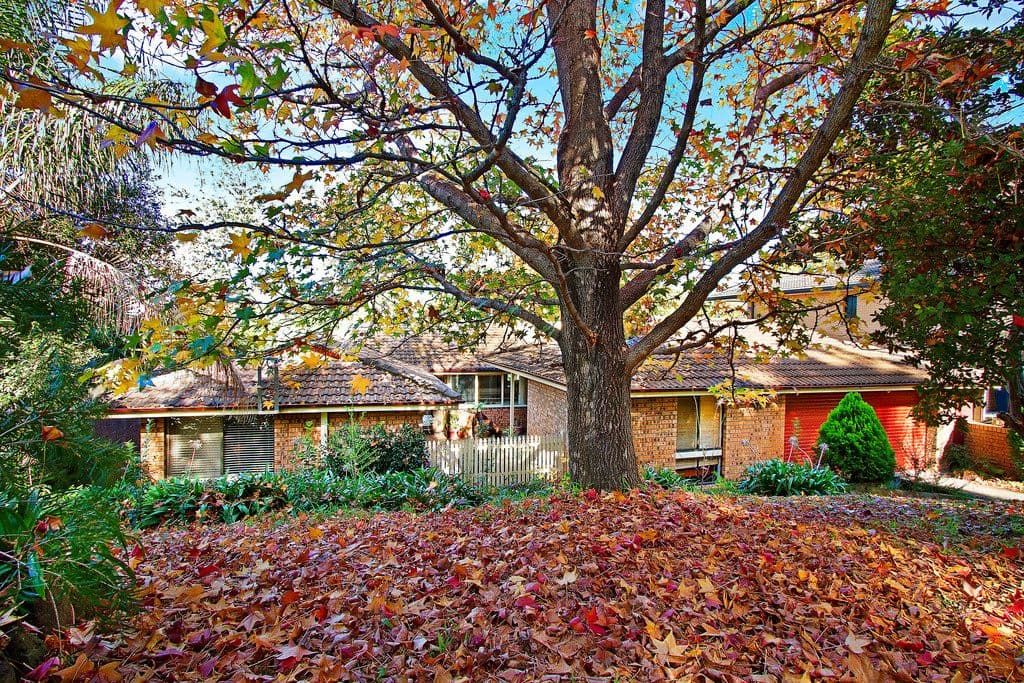 5 Sherwood Street, Kurrajong NSW 2758, Kurrajong - Thumbnail 2