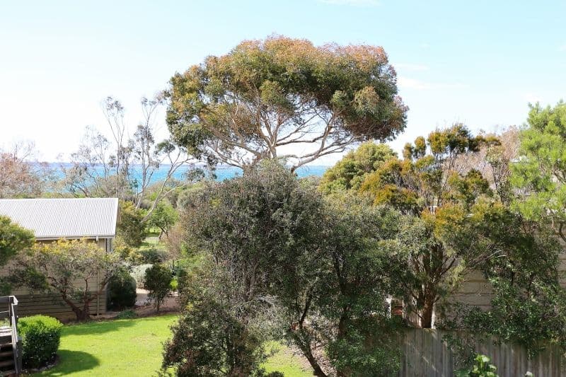 9 Boat Creek Road, Ventnor VIC 3922, Ventnor - Thumbnail 6