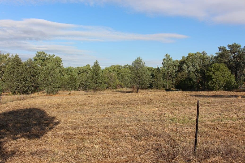 Rosehill Drive, Bingara - Thumbnail 3