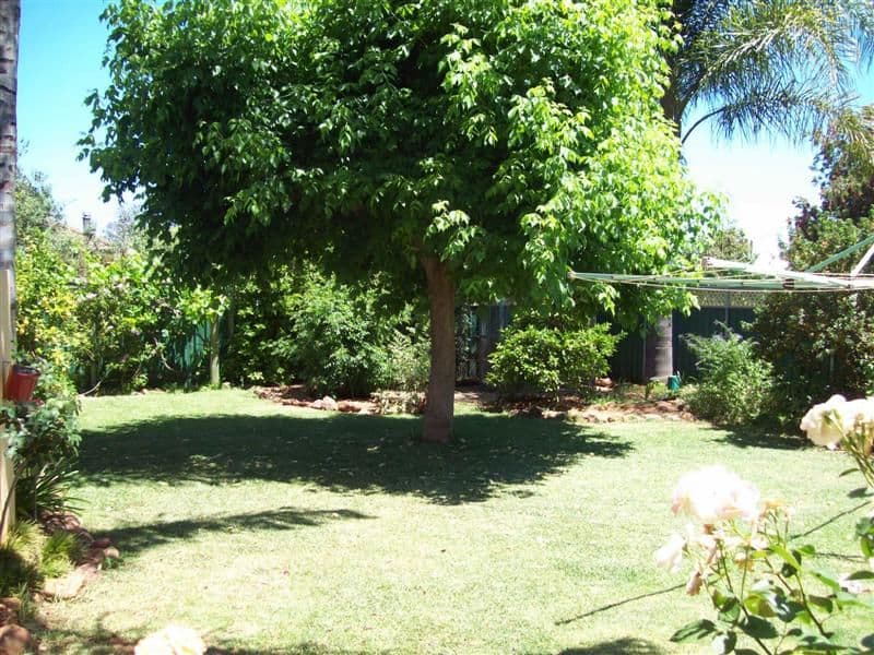 5 Wentworth Street, DUBBO NSW 2830, Dubbo - Thumbnail 5