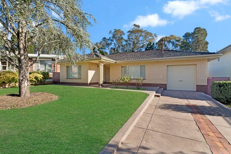 4 Vizma Court, BANKSIA PARK SA 5091, Banksia Park - Image 1