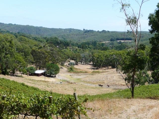 Lot 8 Morgan Road, IRONBANK SA 5153, Ironbank - Image 1