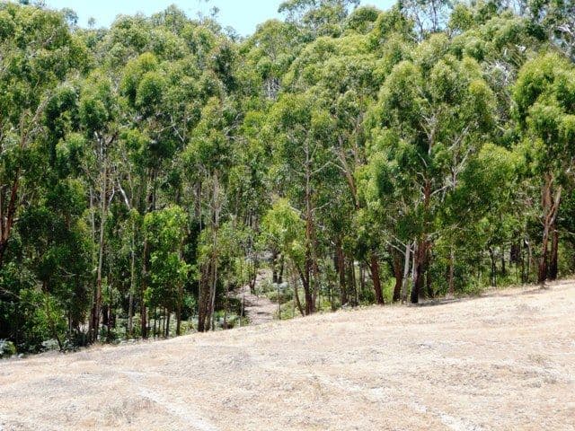 Lot 8 Morgan Road, IRONBANK SA 5153, Ironbank - Thumbnail 4