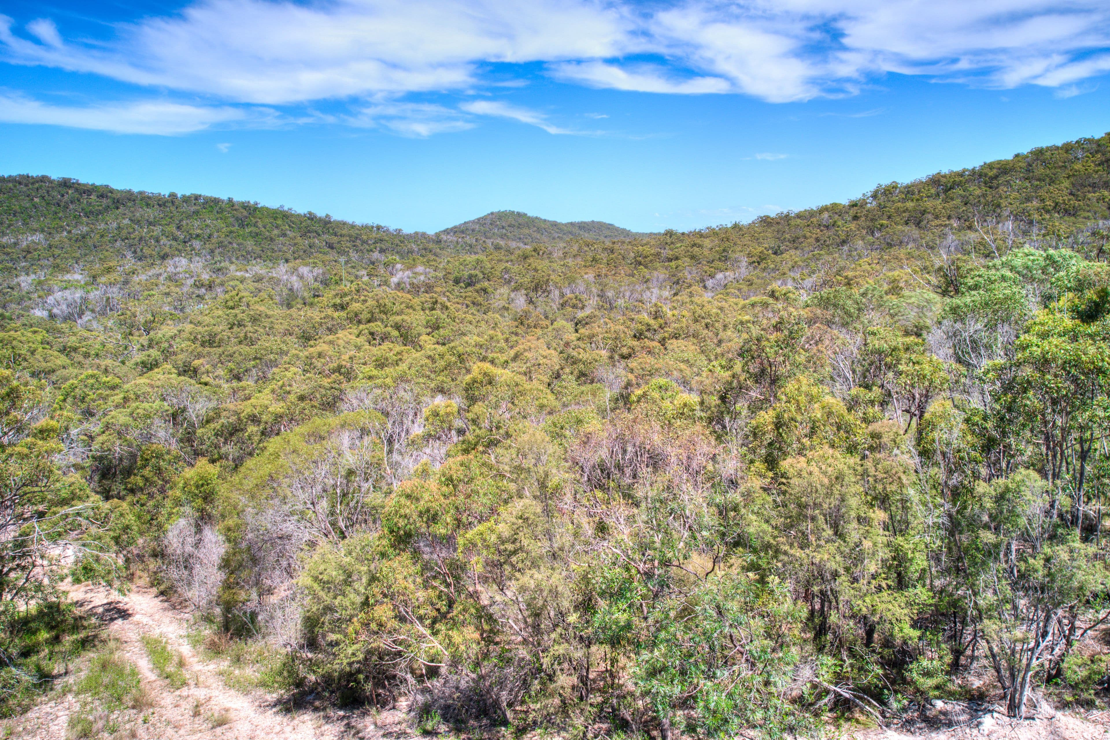 50 Jobson Road, Agnes Water QLD 4677, Agnes Water - Thumbnail 8