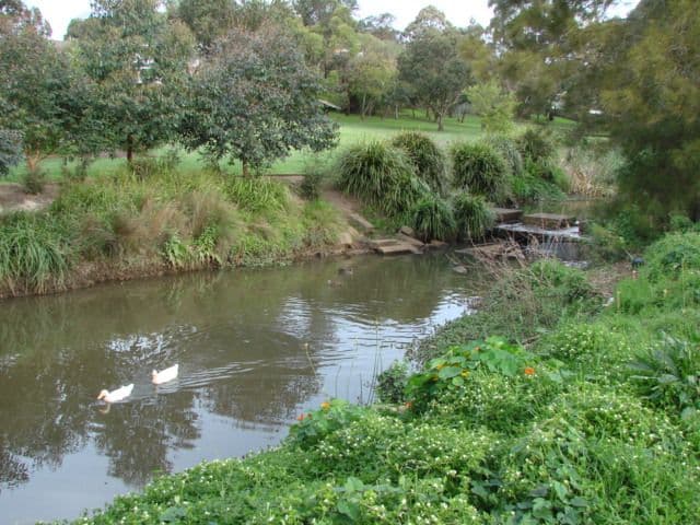 BARDWELL PARK NSW 2207, Bardwell Park - Thumbnail 2