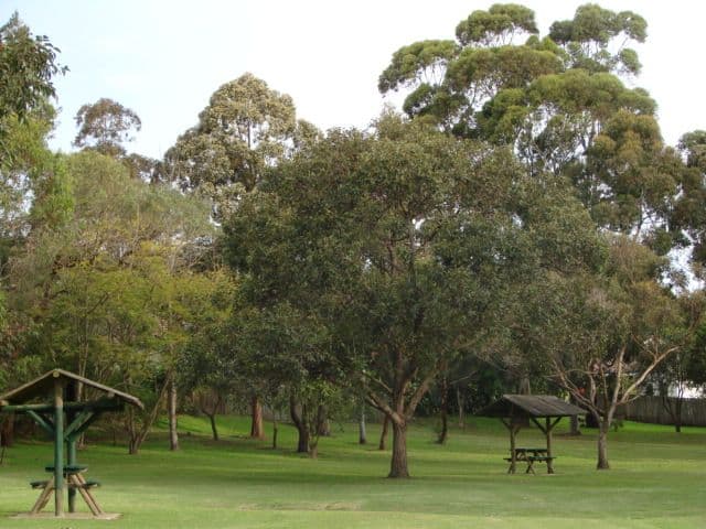 BARDWELL PARK NSW 2207, Bardwell Park - Thumbnail 3