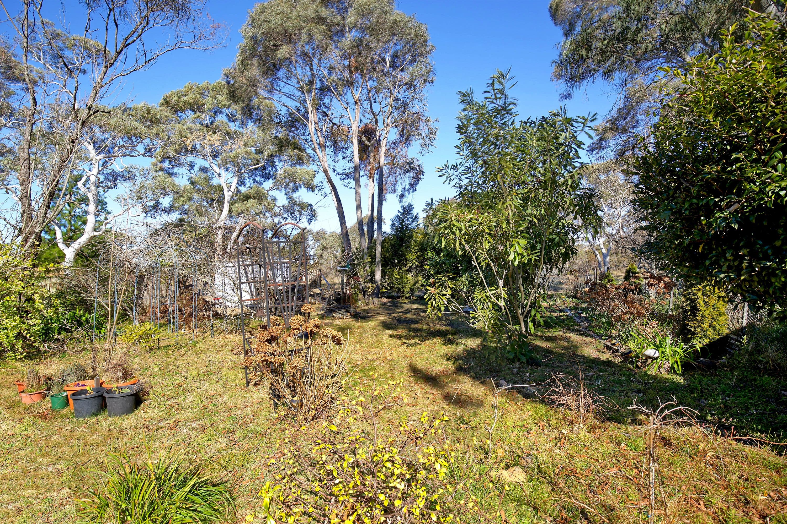 15 Evans Lookout Road, Blackheath - Thumbnail 6