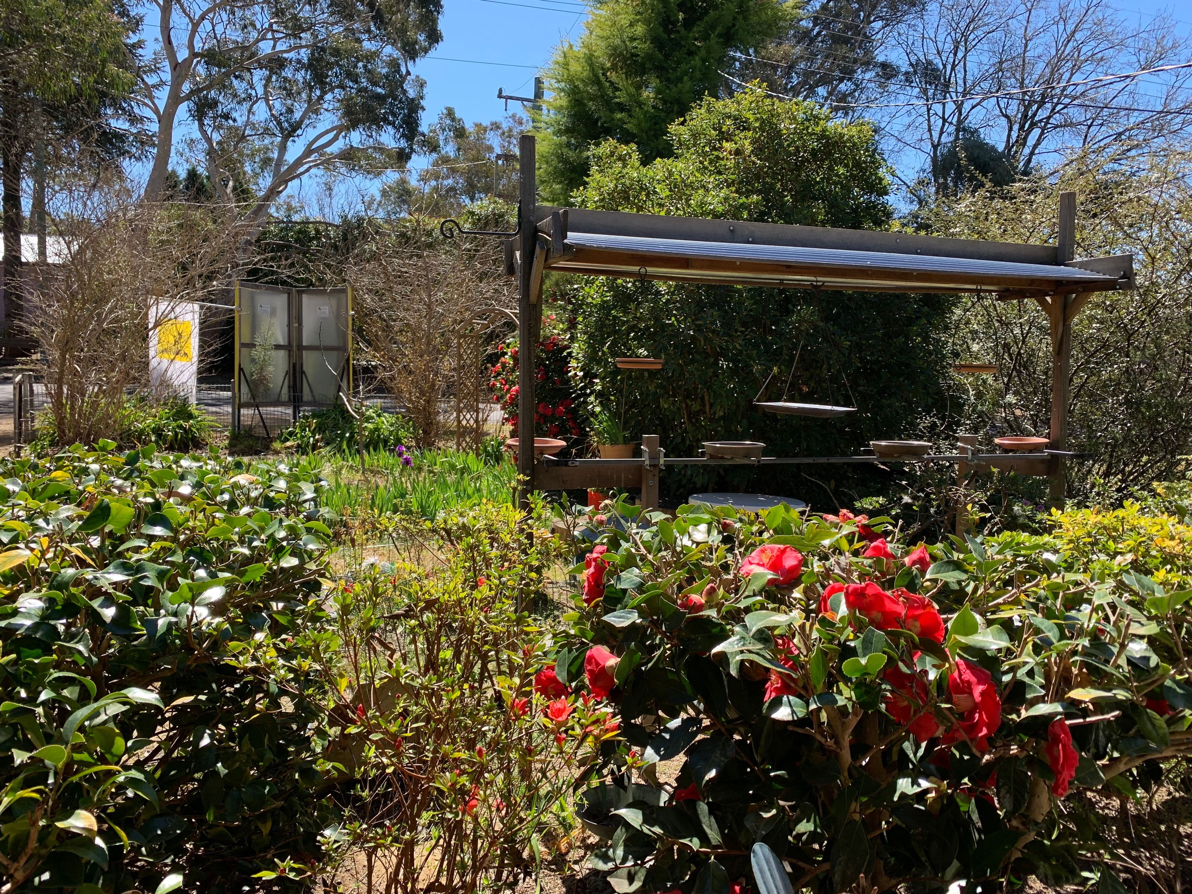 15 Evans Lookout Road, Blackheath - Thumbnail 8