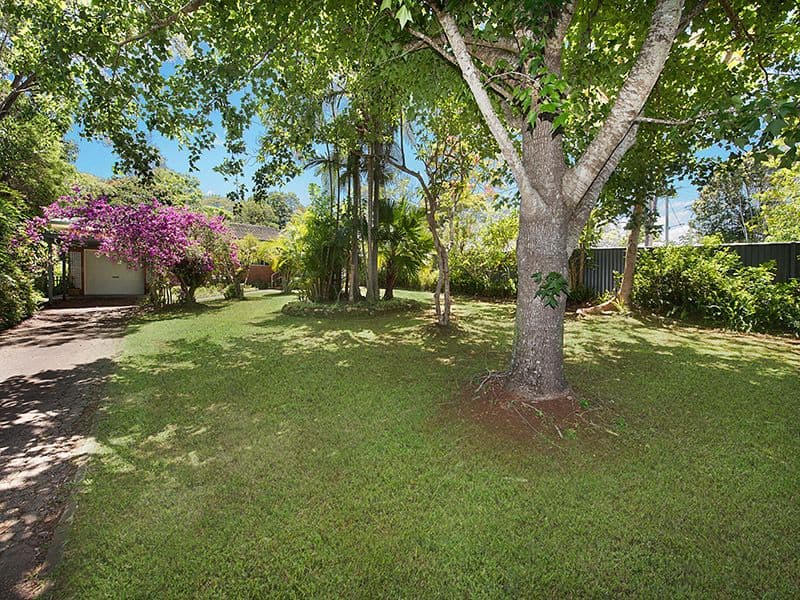 5 Guy Avenue, Buderim QLD 4556, Buderim - Thumbnail 2