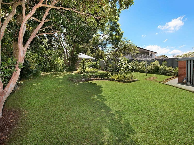 5 Guy Avenue, Buderim QLD 4556, Buderim - Thumbnail 8