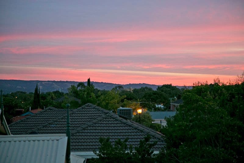 17 Mottistone Court, Oakden SA 5086, Oakden - Thumbnail 4