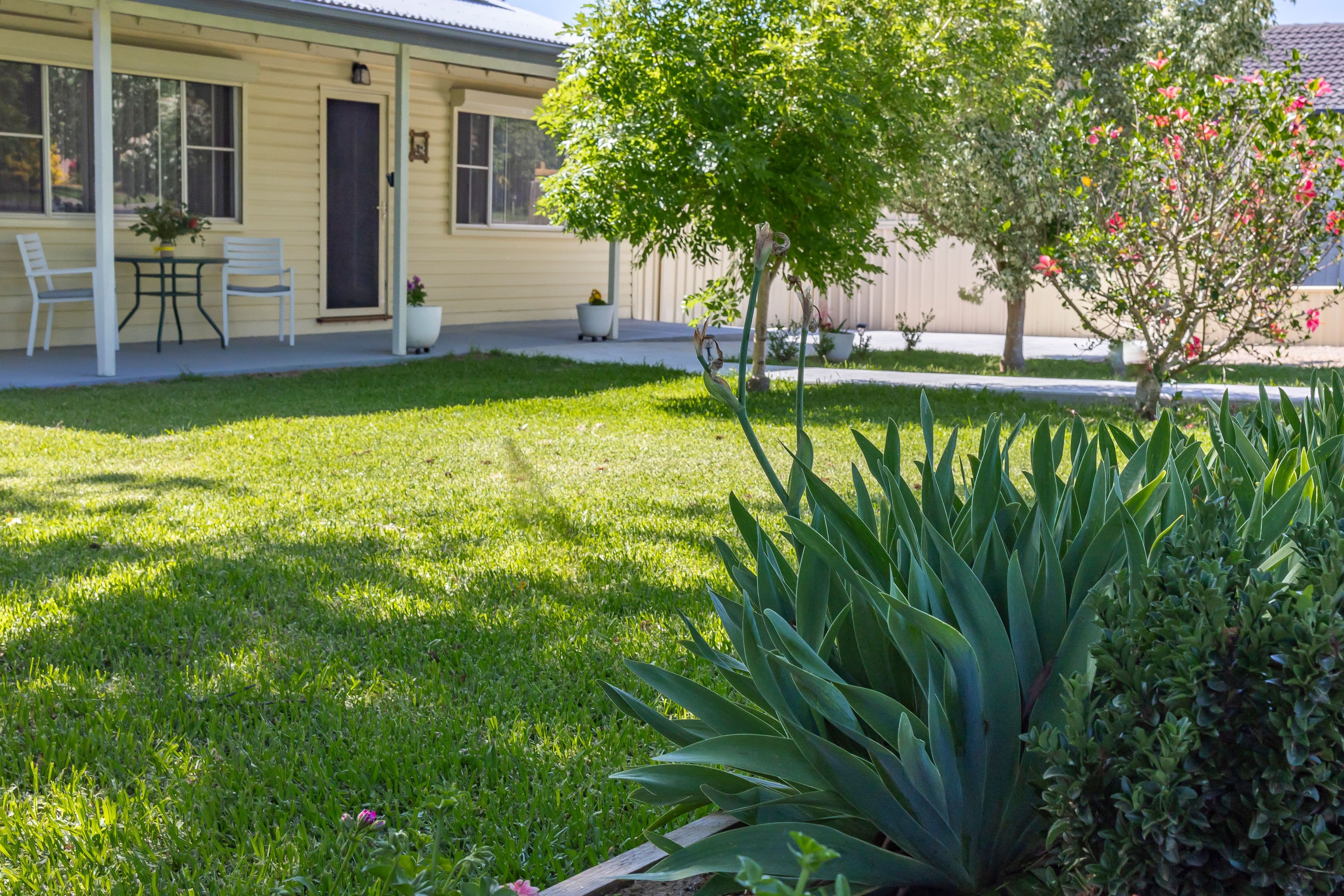 19 Koala Street, Scone NSW 2337, Scone - Thumbnail 2