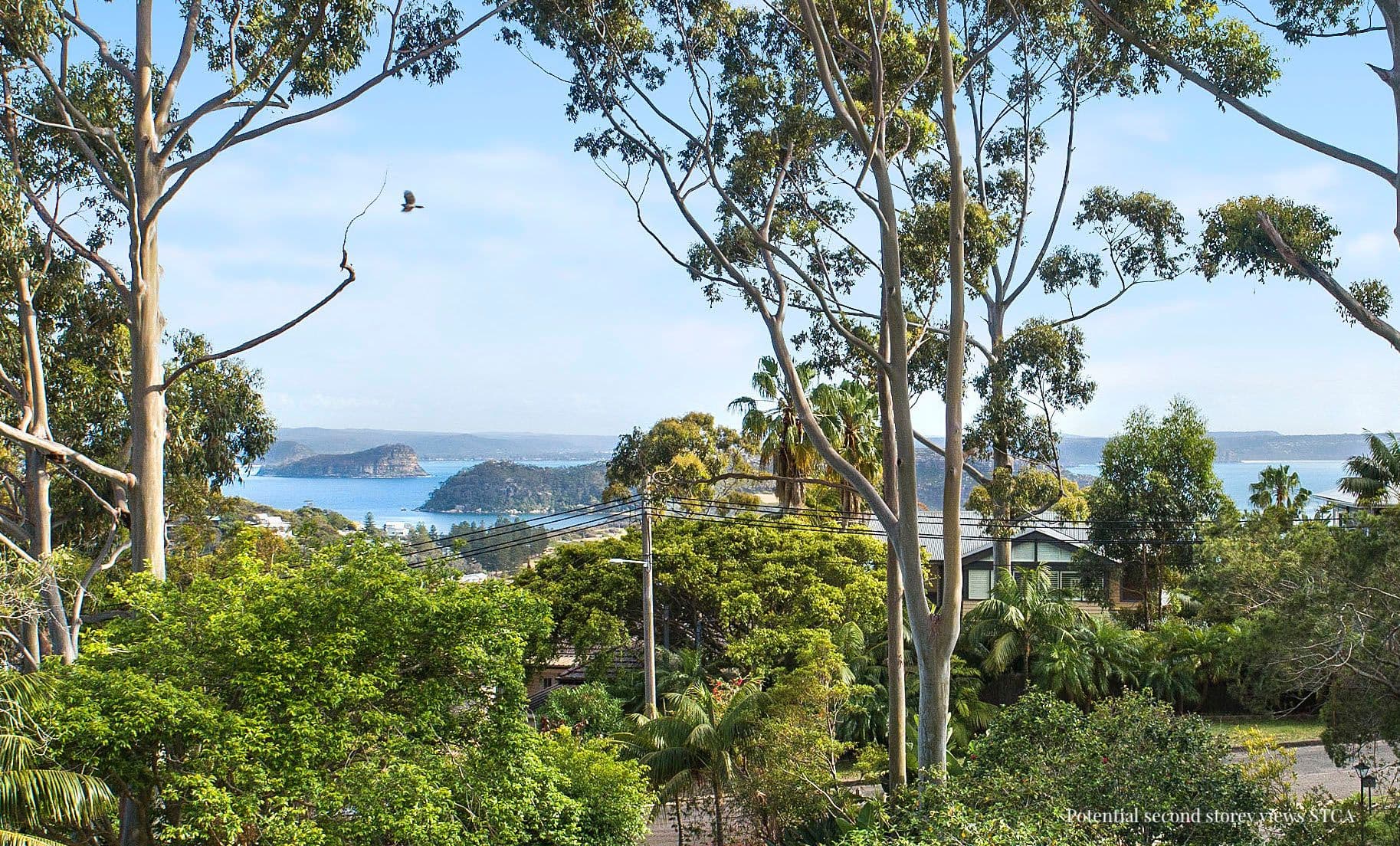 26 Ralston Road, Palm Beach - Thumbnail 3